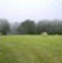 Field